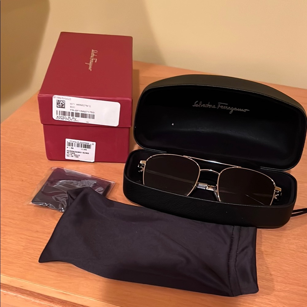 Salvatore Ferragamo men’s sunglasses